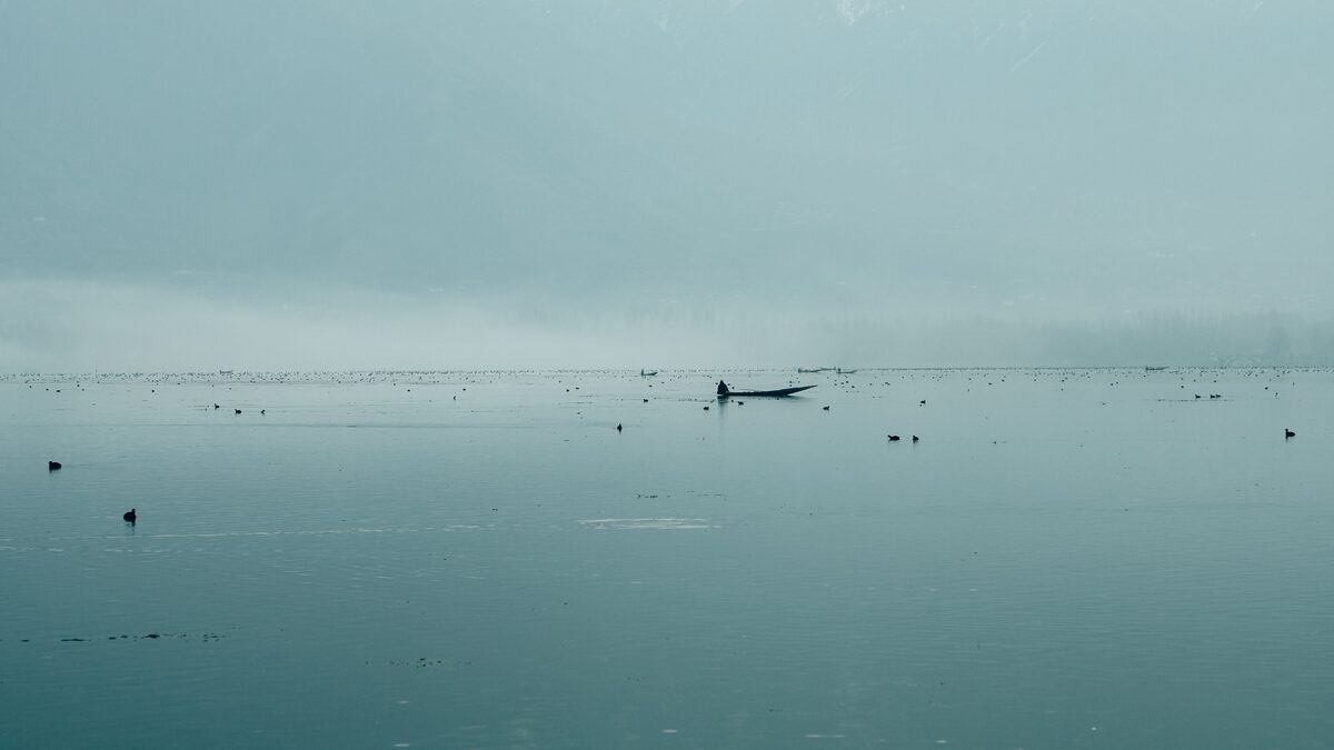 Soft fog drifting over a still lake at dawn with muted grey light