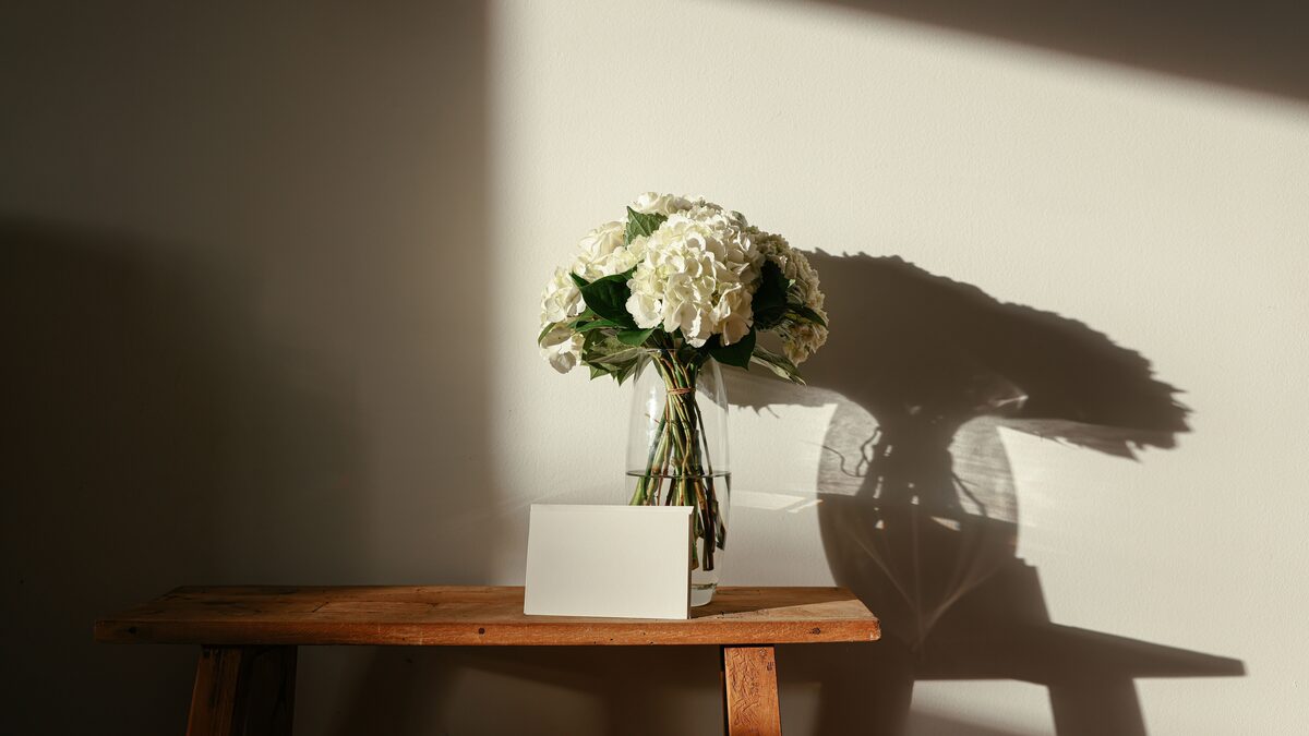 Sunlight through a window with fresh flowers and a warm blanket