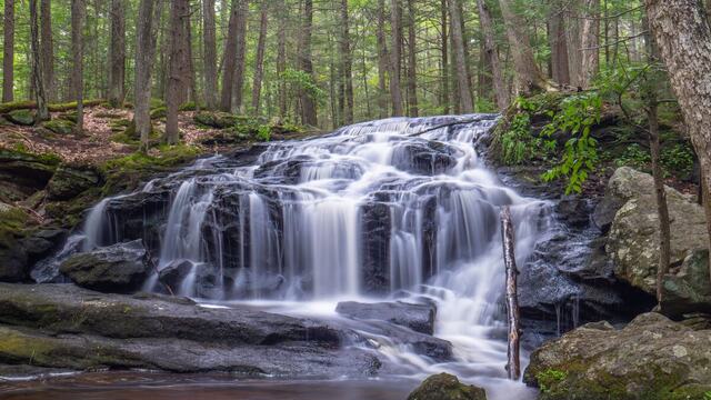 AI music for nature videos: scoring footage by feeling